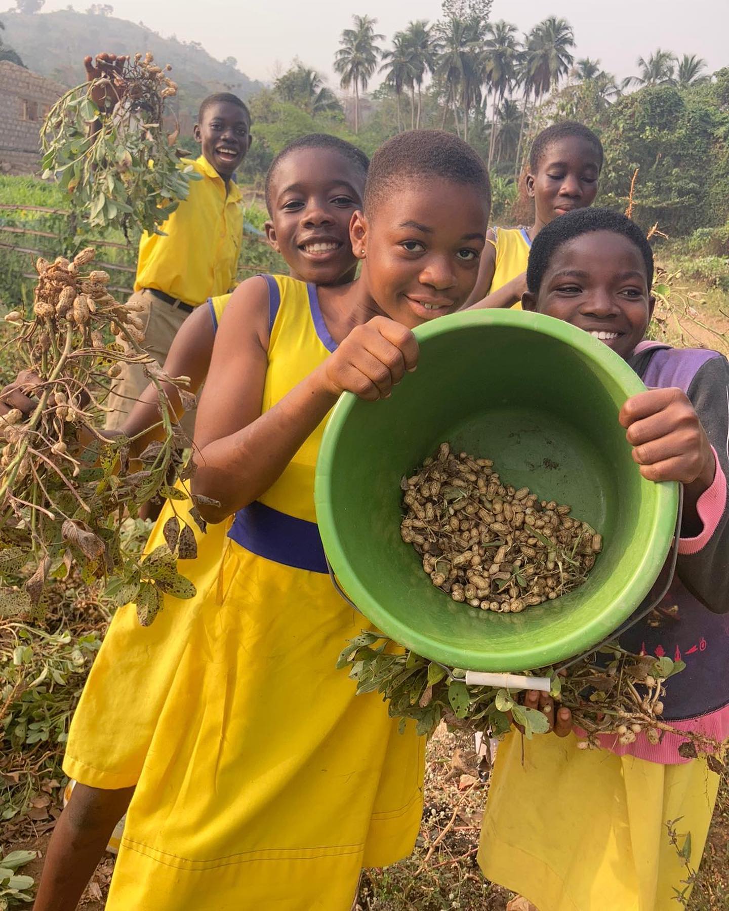 A group of young people showing their early peanut harvest