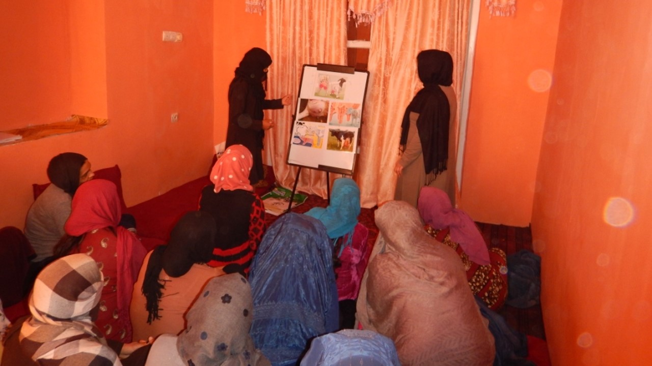 TWo women lecturing a group of people in headscarves, with animal visual aids.