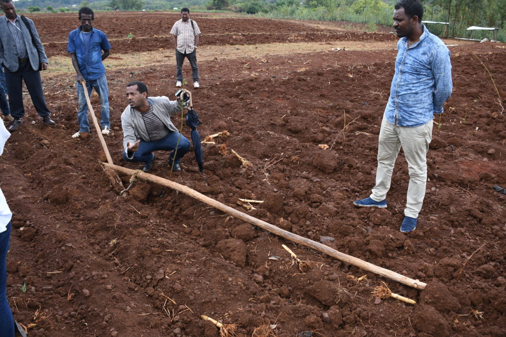 The Berken plow, invented by private sector entrepreneur Aybar, is tested. Rudi Schmitter.