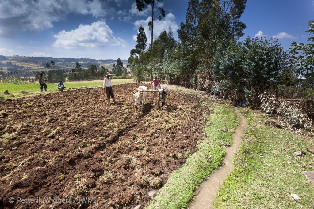 Plowing at the same depth for centuries creates a hard crust in some soils, hindering groundwater recharge. Petterik Wiggers/IWMI.