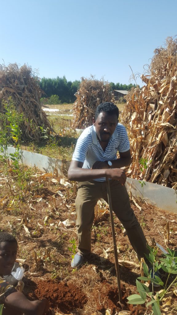 Habtamu Muche collecting a soil sample in the Ethiopian Highlands.